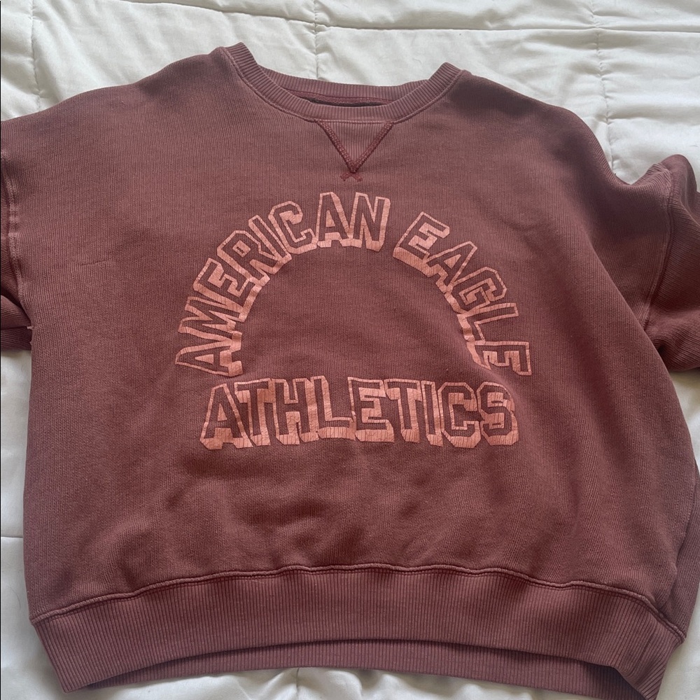 American Eagle Outfitters Burgundy Knit Sweater